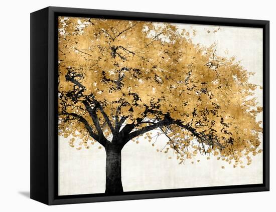 Golden Blossoms-Kate Bennett-Framed Stretched Canvas
