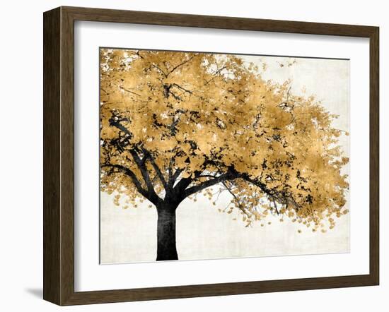 Golden Blossoms-Kate Bennett-Framed Art Print