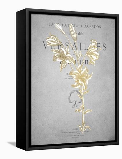 Golden Botanicals 1-Kimberly Allen-Framed Stretched Canvas