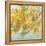 Golden Branches-K. Nari-Framed Stretched Canvas