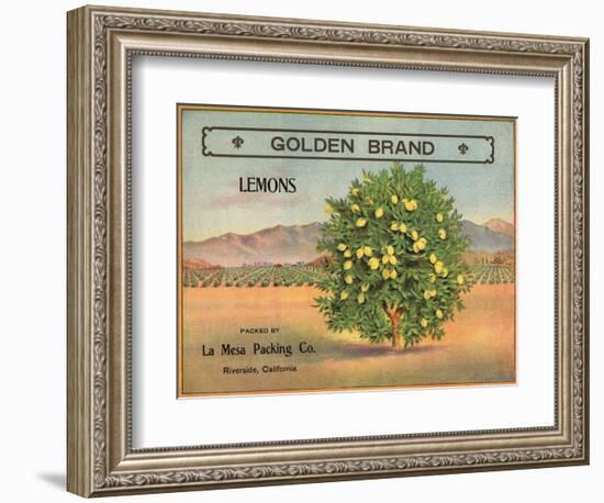 Golden Brand - Riverside, California - Citrus Crate Label-Lantern Press-Framed Art Print