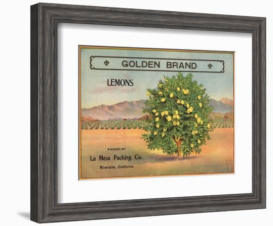 Golden Brand - Riverside, California - Citrus Crate Label-Lantern Press-Framed Art Print