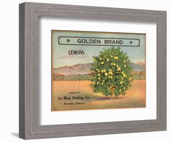 Golden Brand - Riverside, California - Citrus Crate Label-Lantern Press-Framed Art Print