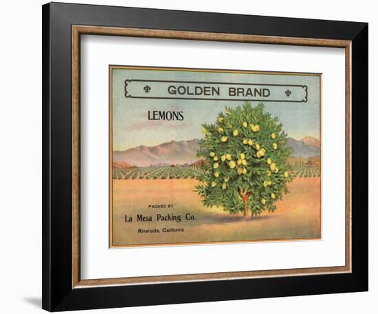 Golden Brand - Riverside, California - Citrus Crate Label-Lantern Press-Framed Art Print