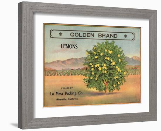 Golden Brand - Riverside, California - Citrus Crate Label-Lantern Press-Framed Art Print