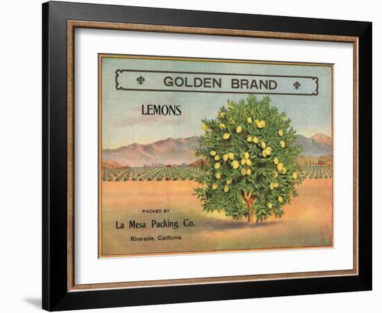 Golden Brand - Riverside, California - Citrus Crate Label-Lantern Press-Framed Art Print