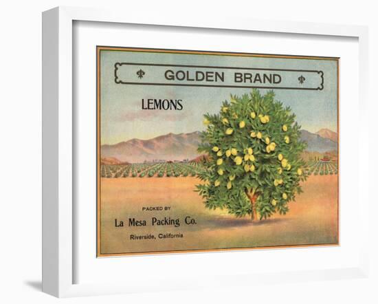 Golden Brand - Riverside, California - Citrus Crate Label-Lantern Press-Framed Art Print