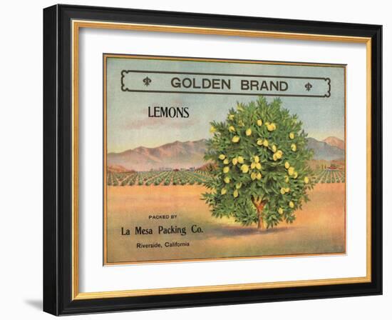 Golden Brand - Riverside, California - Citrus Crate Label-Lantern Press-Framed Art Print