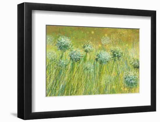 Golden breeze-Claire Westwood-Framed Art Print