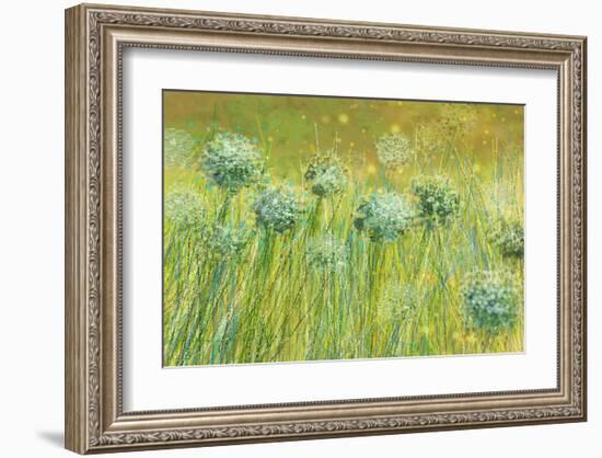 Golden breeze-Claire Westwood-Framed Art Print