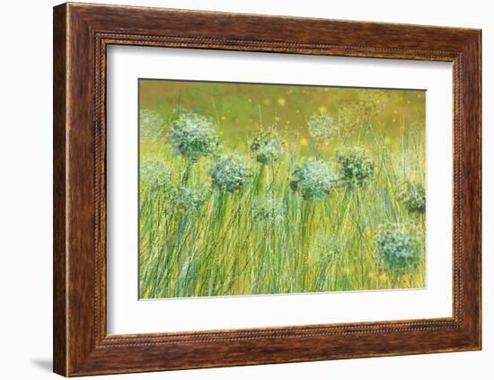 Golden breeze-Claire Westwood-Framed Art Print