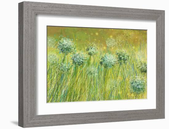 Golden breeze-Claire Westwood-Framed Art Print