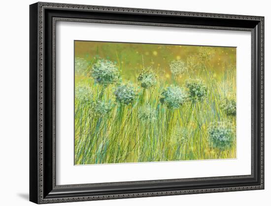 Golden breeze-Claire Westwood-Framed Art Print