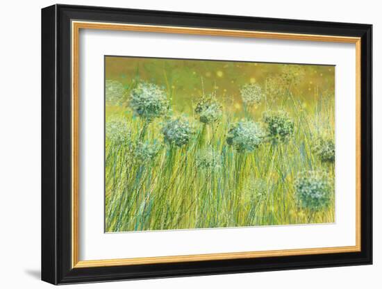 Golden breeze-Claire Westwood-Framed Art Print