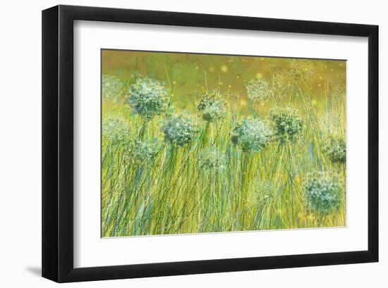 Golden breeze-Claire Westwood-Framed Art Print