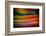 Golden Brightness-Ursula Abresch-Framed Photographic Print