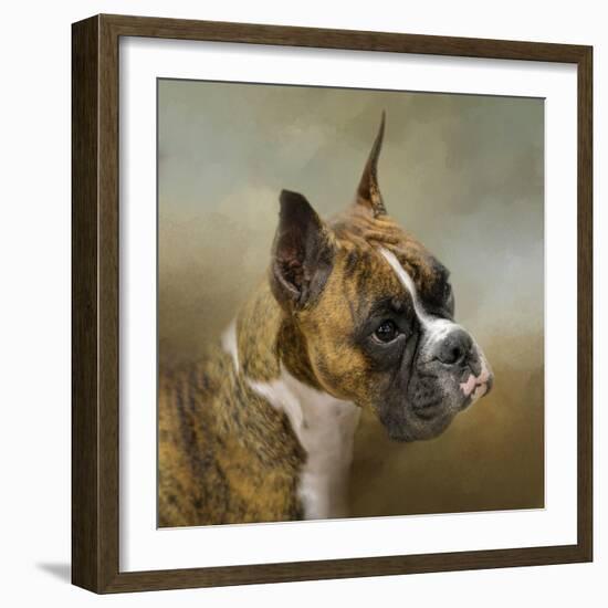 Golden Brindle Boxer-Jai Johnson-Framed Giclee Print