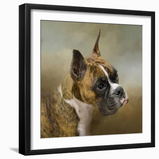 Golden Brindle Boxer-Jai Johnson-Framed Giclee Print