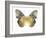 Golden Butterfly I-Julia Bosco-Framed Art Print