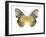 Golden Butterfly I-Julia Bosco-Framed Art Print