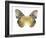 Golden Butterfly I-Julia Bosco-Framed Art Print