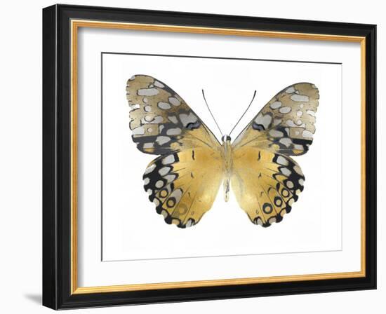 Golden Butterfly I-Julia Bosco-Framed Art Print