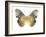 Golden Butterfly I-Julia Bosco-Framed Art Print