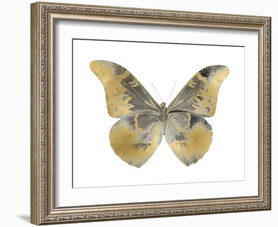 Golden Butterfly II-Julia Bosco-Framed Art Print