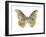 Golden Butterfly II-Julia Bosco-Framed Art Print