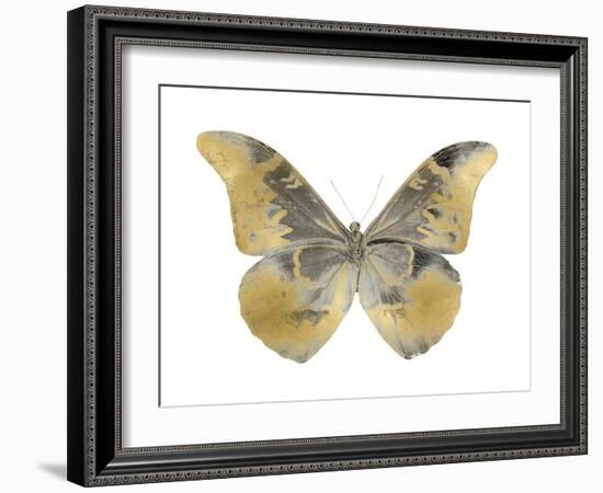 Golden Butterfly II-Julia Bosco-Framed Art Print