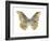 Golden Butterfly II-Julia Bosco-Framed Art Print