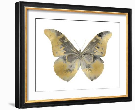 Golden Butterfly II-Julia Bosco-Framed Art Print