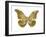 Golden Butterfly III-Julia Bosco-Framed Art Print