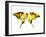 Golden Butterfly , Isolated on White-suns07butterfly-Framed Art Print