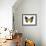 Golden Butterfly IV-Julia Bosco-Framed Art Print displayed on a wall
