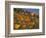 Golden California Poppies, Santa Cruz Coast, California, USA-Tom Norring-Framed Photographic Print