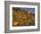 Golden California Poppies, Santa Cruz Coast, California, USA-Tom Norring-Framed Photographic Print