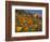 Golden California Poppies, Santa Cruz Coast, California, USA-Tom Norring-Framed Photographic Print