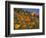 Golden California Poppies, Santa Cruz Coast, California, USA-Tom Norring-Framed Photographic Print