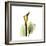 Golden Calla Lily 1-Albert Koetsier-Framed Premium Giclee Print