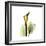 Golden Calla Lily 1-Albert Koetsier-Framed Art Print