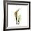 Golden Calla Lily 3-Albert Koetsier-Framed Premium Giclee Print