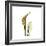 Golden Calla Lily 3-Albert Koetsier-Framed Premium Giclee Print