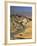 Golden Canyon Interpretive Trail, Death Valley National Park, California, USA-Gavin Hellier-Framed Photographic Print