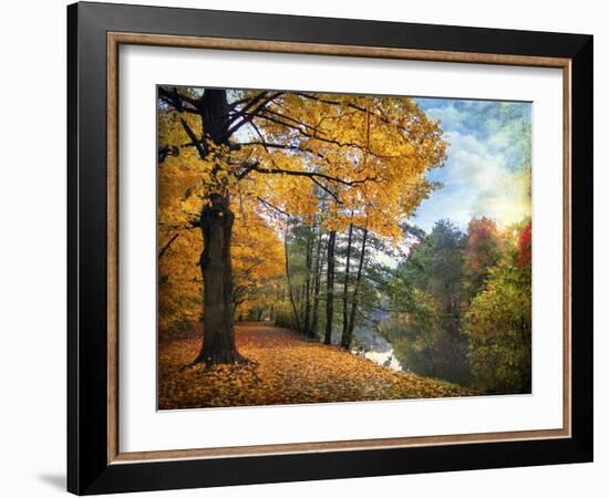 Golden Carpet-Jessica Jenney-Framed Photographic Print