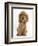 Golden Cocker Spaniel Puppy, Maizy, Sitting-Mark Taylor-Framed Photographic Print