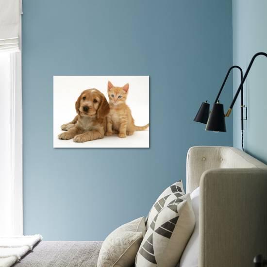 Golden Cocker Spaniel Puppy With Ginger Kitten Photographic Print