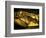 Golden Coffin of Tutahkhamun, Valley of the Kings, Egypt-Kenneth Garrett-Framed Photographic Print