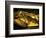 Golden Coffin of Tutahkhamun, Valley of the Kings, Egypt-Kenneth Garrett-Framed Photographic Print