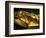 Golden Coffin of Tutahkhamun, Valley of the Kings, Egypt-Kenneth Garrett-Framed Photographic Print